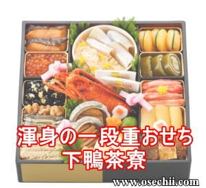 �Ӑg�̈�i�d��������������